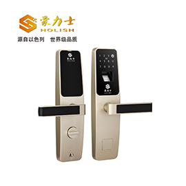 豪力士智能锁公寓智能锁锌合金材质、DC6V(4节5#电池)/DC9V备用钥匙