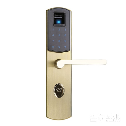 家庭、办公指纹锁/不锈钢材质/PVD金色Z8