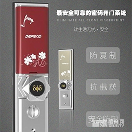 锌合金材质智能锁DF-P7001