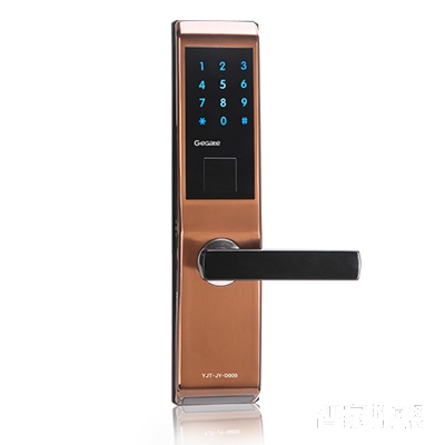 静音自动智能指纹锁密码锁遥控锁不锈钢材质D009