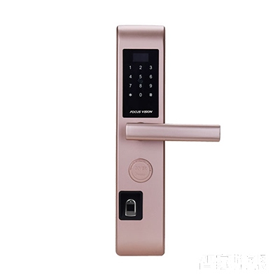 指纹锁密码锁刷卡锁直板玫瑰金FV-SO-BH1-A1