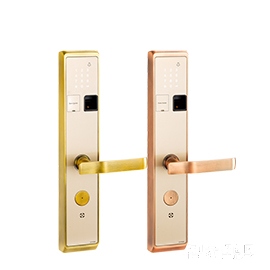 指纹锁至上版06款黄古铜超B级锁芯、智能指纹识别HEST-03