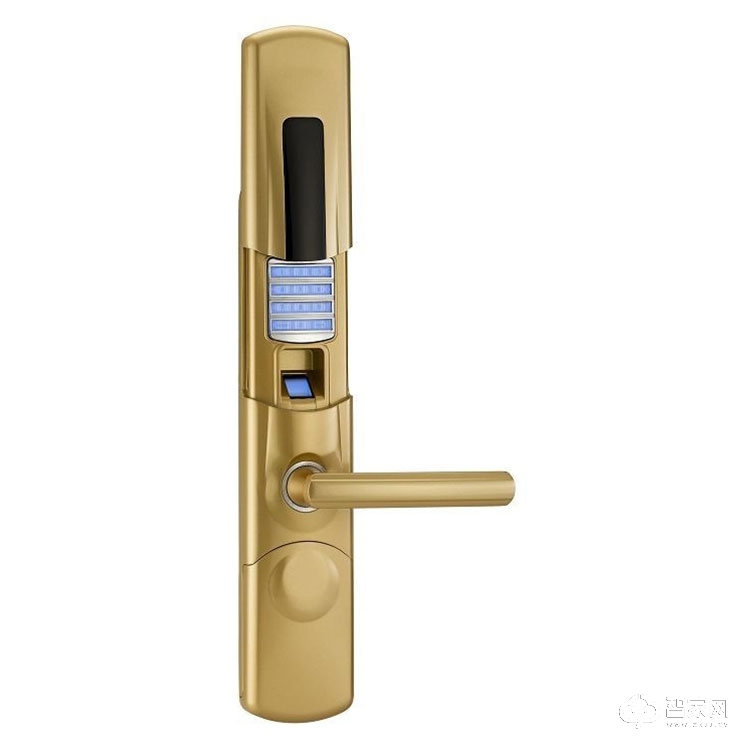 别墅专用滑盖指纹密码锁 超B级防盗锁芯智能锁FF9001
