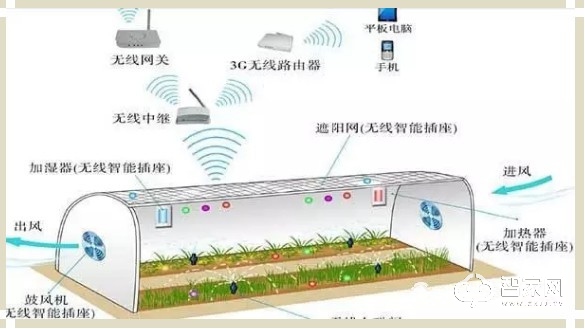 大德中电智慧农业服务方案--创新传统温室大棚管理方式