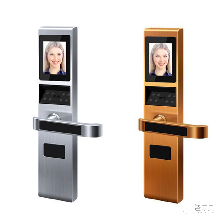 人脸识别智能门锁 远程控制智能锁BioAT3302