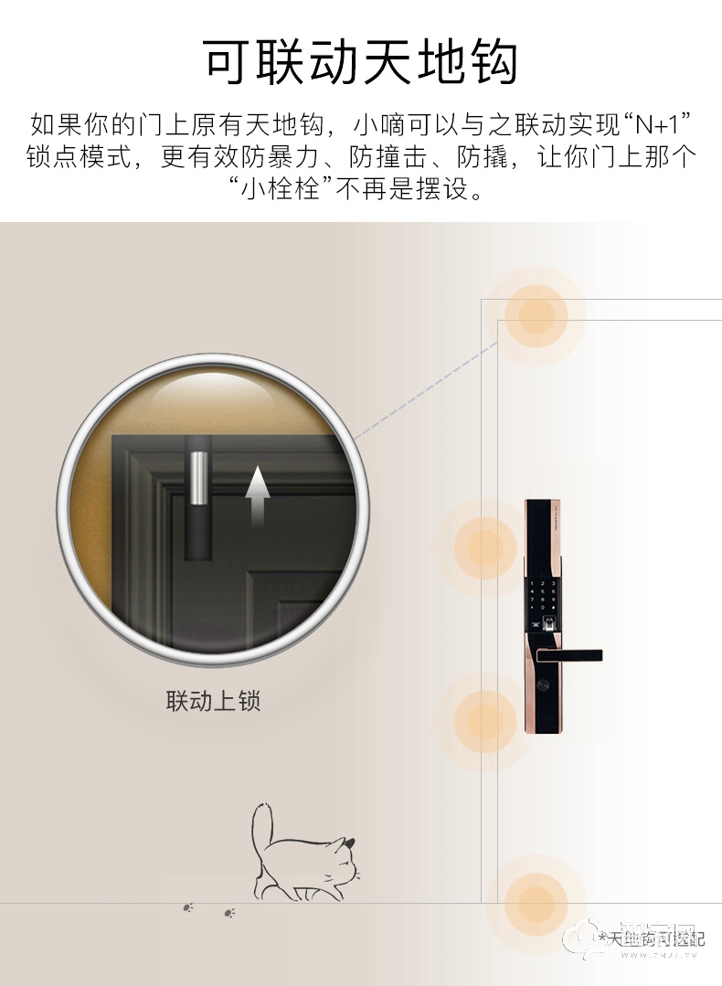 德施曼D830V/S防盗门密码锁 智能指纹电子门锁