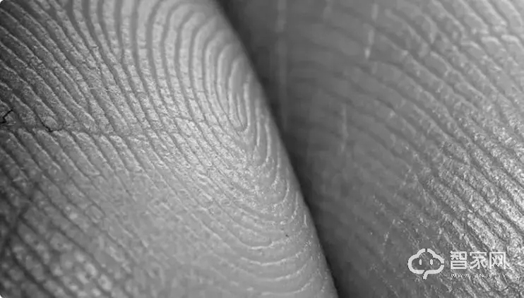 科普 | 智能锁指纹识别的安全性为什么这么高？