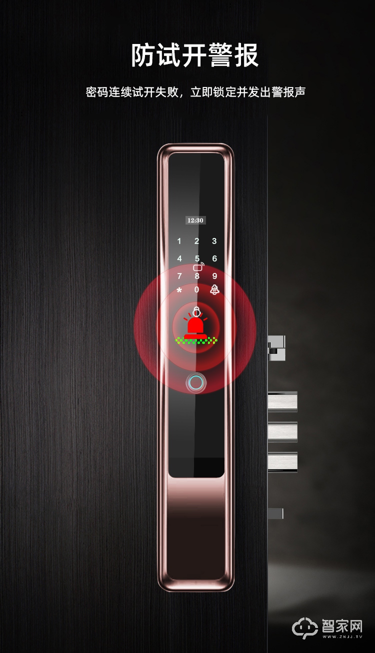 德简全自动智能锁 家用防盗门智能锁电子门锁