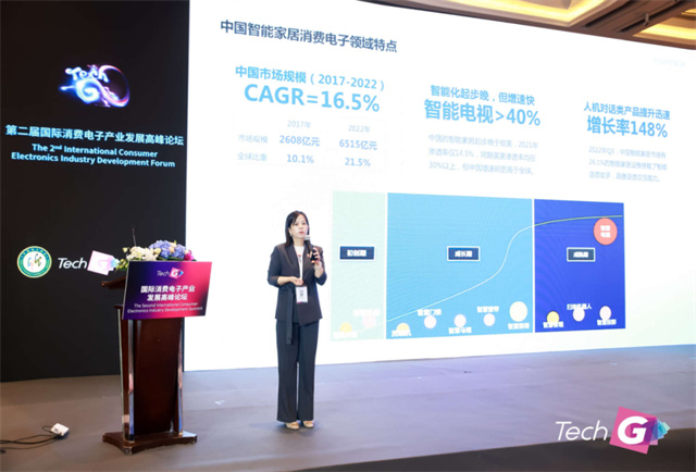 上海国际消费电子展丨龙梦竹：智能语音语言技术在消费电子中的应用