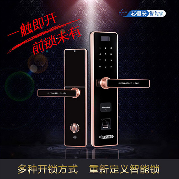 芯恒安智能锁 家用APP指纹密码锁9802